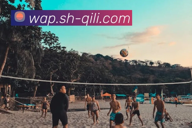 多媒体互动体验